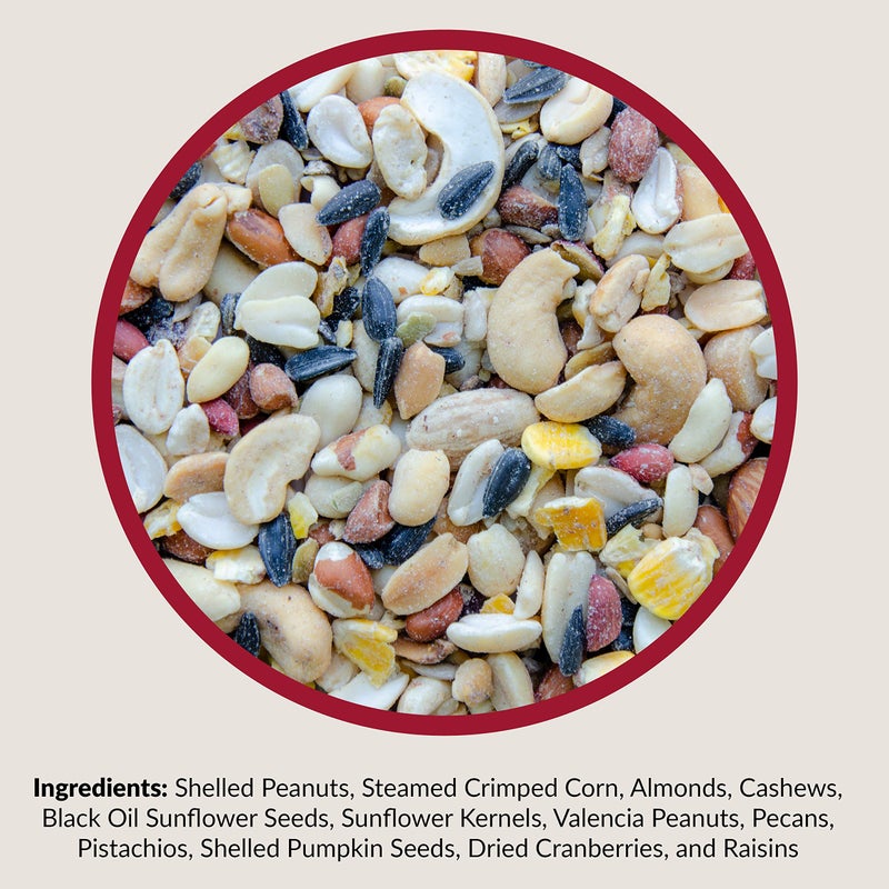 Lyric Fruit and Nut Wild Bird Seed - High Energy Wild Bird Food Mix - Attracts Woodpeckers, Chickadees & Other Songbirds - 10 lb. (pack of 2 - 5 lb bags) - Image 3